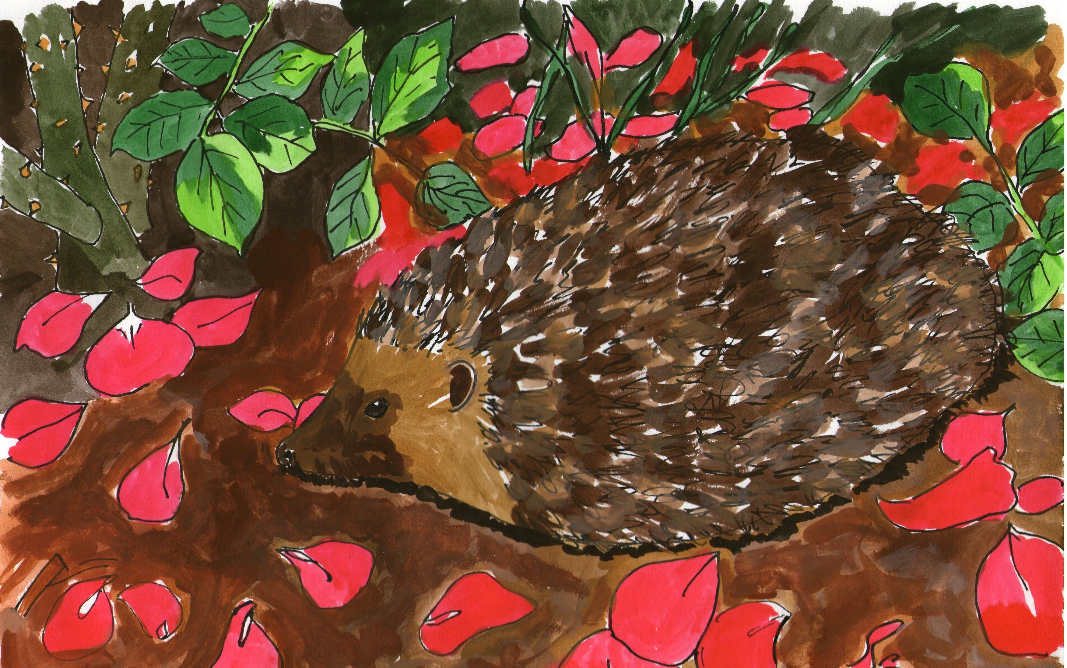 The hedgehog has taken to life in the towns, finding shelter and food in the diverse habitats of our suburbia.