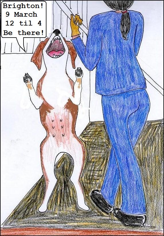 BE THE VOICE OF THE HARLAN BEAGLES IN BRIGHTON ON MARCH 9th 