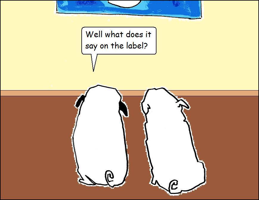 Dandelion and Murdock art 2