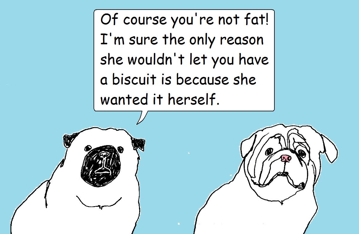 Dandelion and Murdock