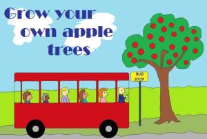 grow your own apple tree