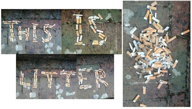 EVE PICKED THESE UP IN 20 MINUTES AT THE LOCAL PARK