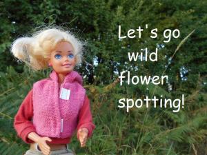 wild flower spotting