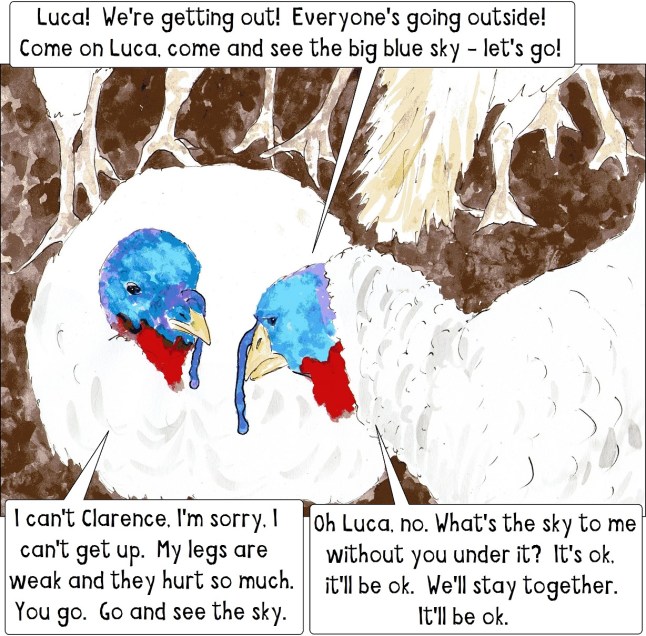 vegan Christmas story