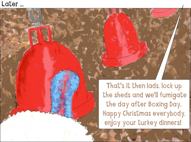 vegan Christmas story