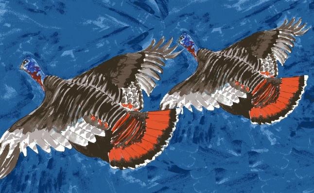 Christmas story for children