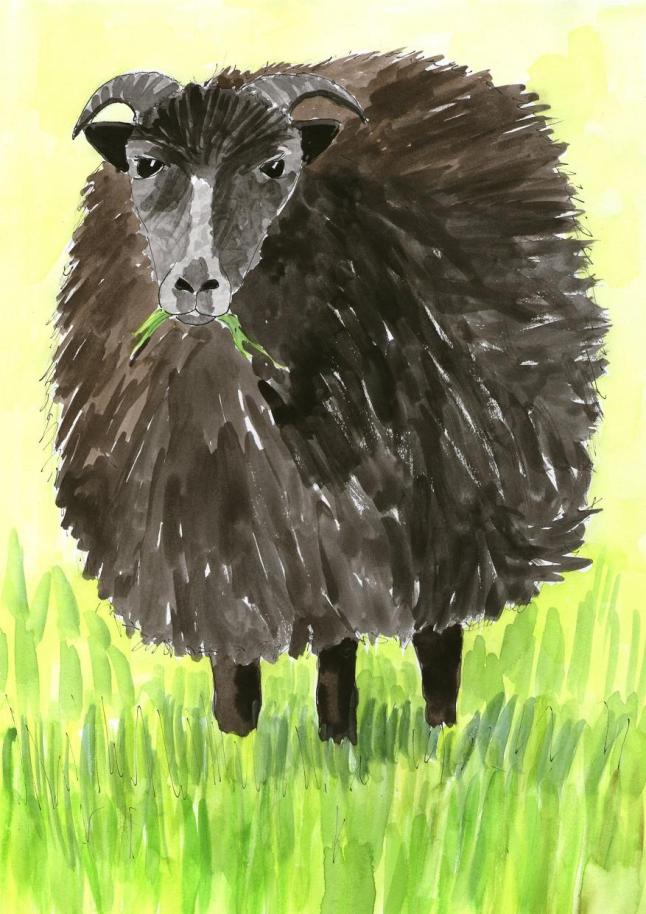 Vegan Baa baa black sheep