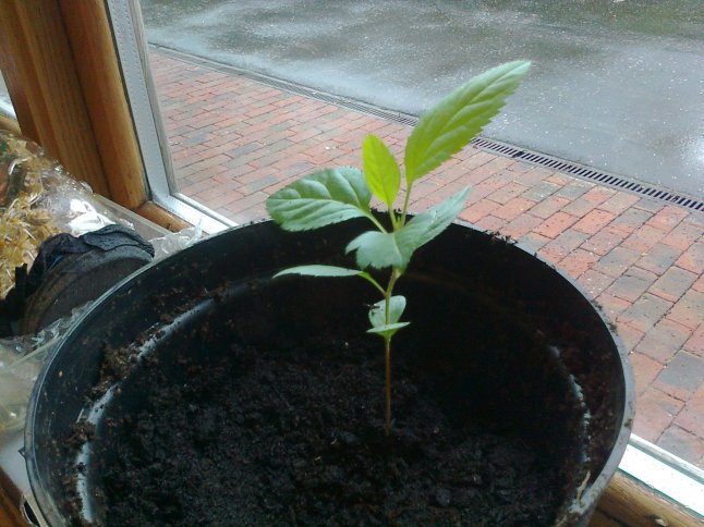 And this is what it looks like now