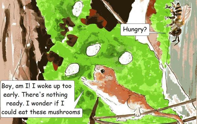 vegan comic for children