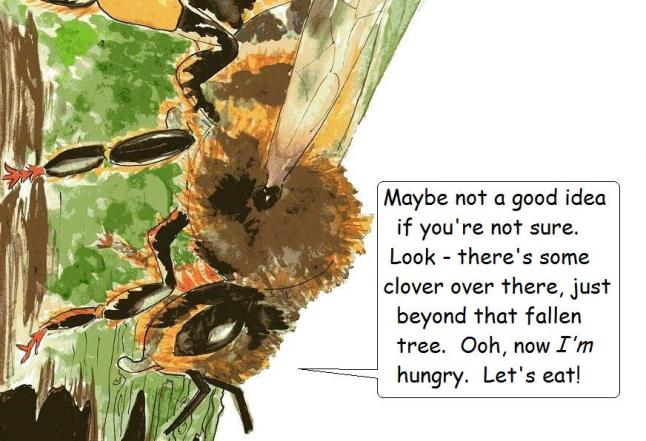 vegan comic for children