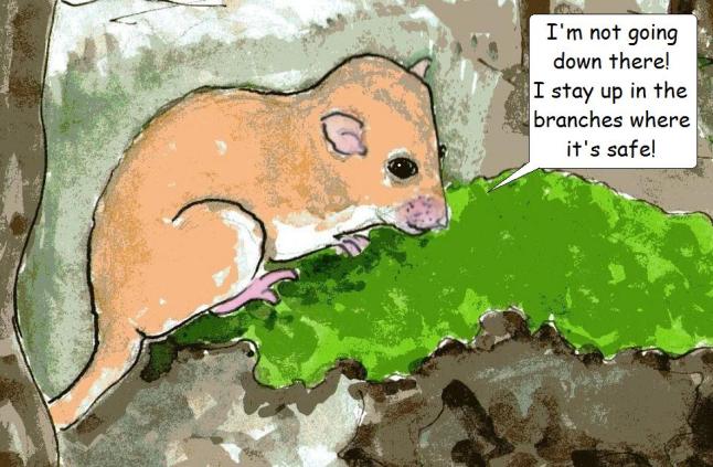 vegan comic for children