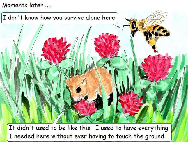 vegan comic for children