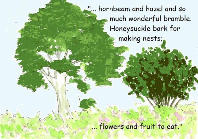 vegan comic for children