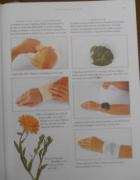 marigold herbal remedy