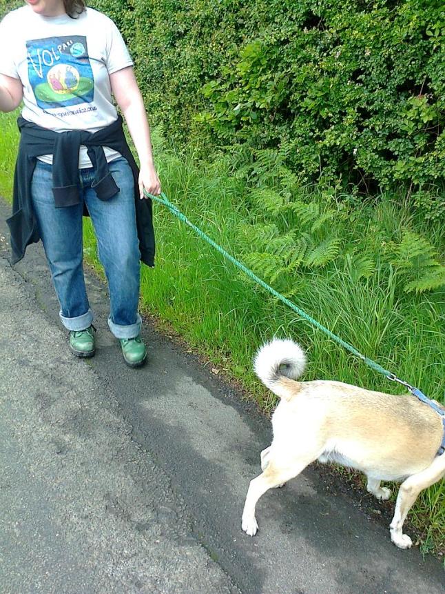 vegan organic cotton T-shirt