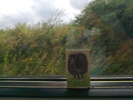 Can you see Reflecto Girl?