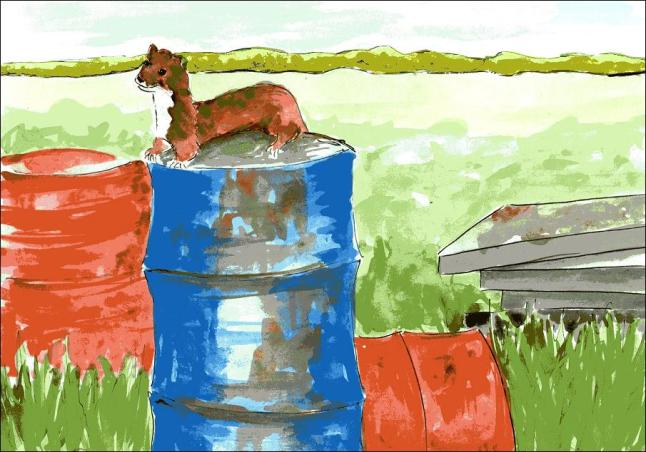  vegan comic for children