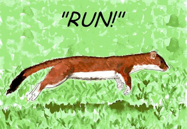  vegan comic for children