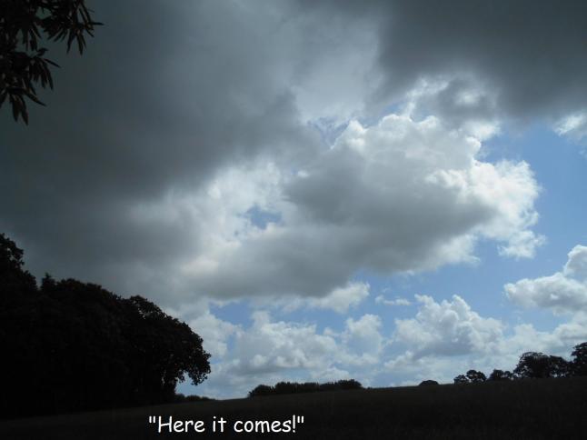 walk for health and enjoyment