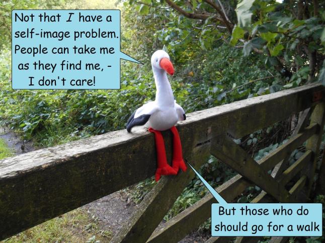 walk for health and enjoyment