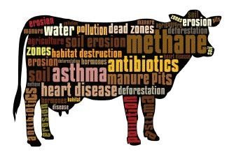 animal farming enviro imp