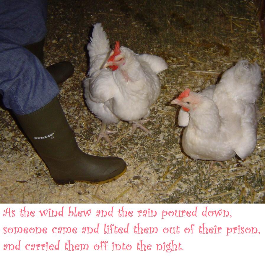 Snow white and rose red 2