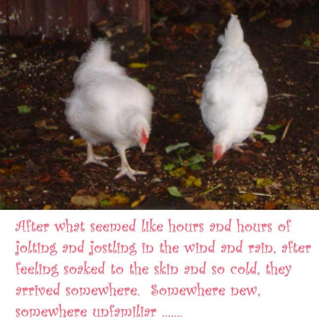 snow white and rose red 4