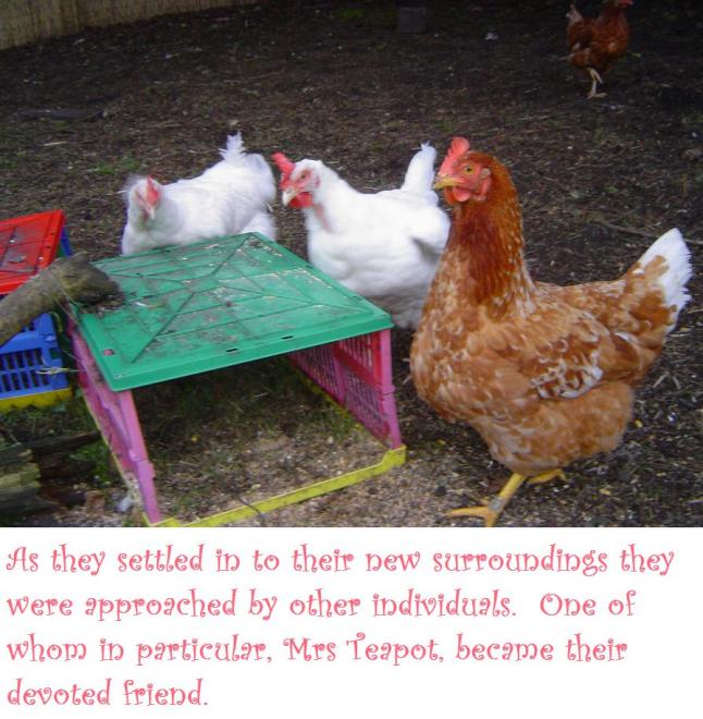 snow white and rose red 6