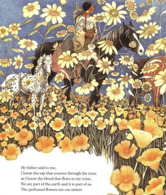 brother eagle sister sky 3