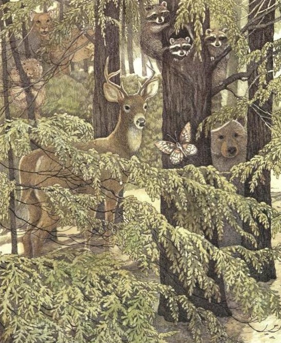 brother eagle sister sky 5