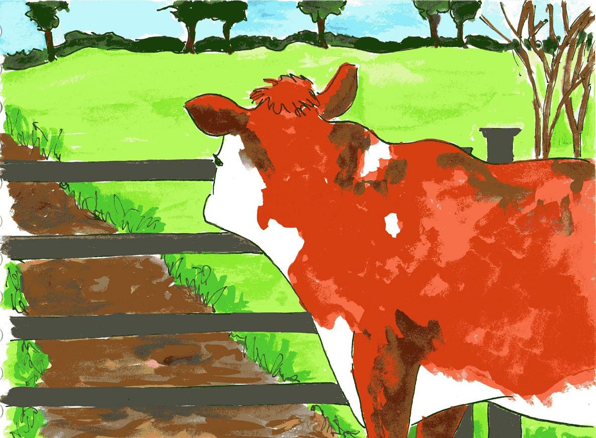 rhyming children's story