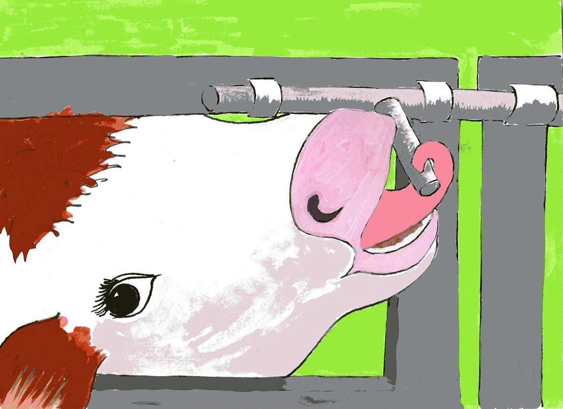 rhyming children's story