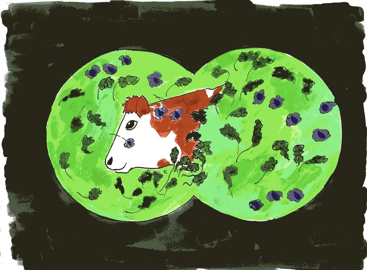 rhyming children's story