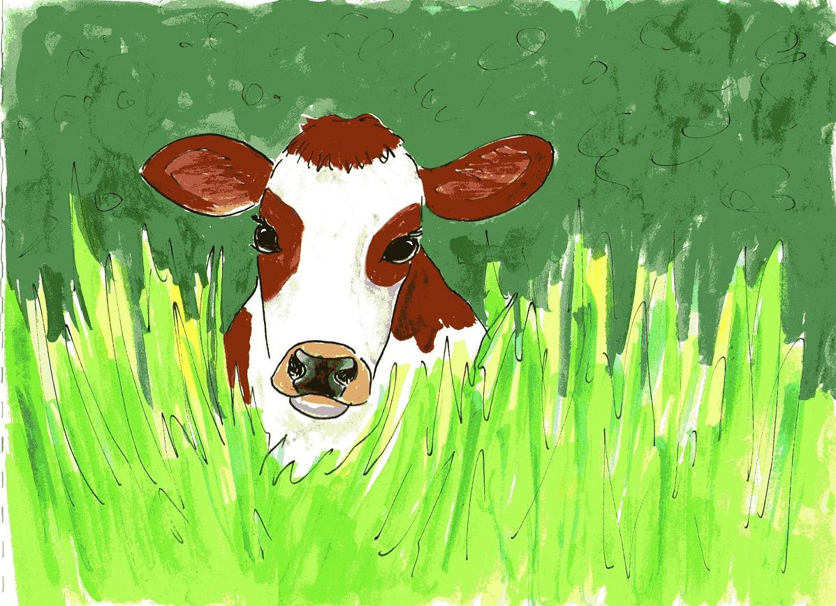 rhyming children's story