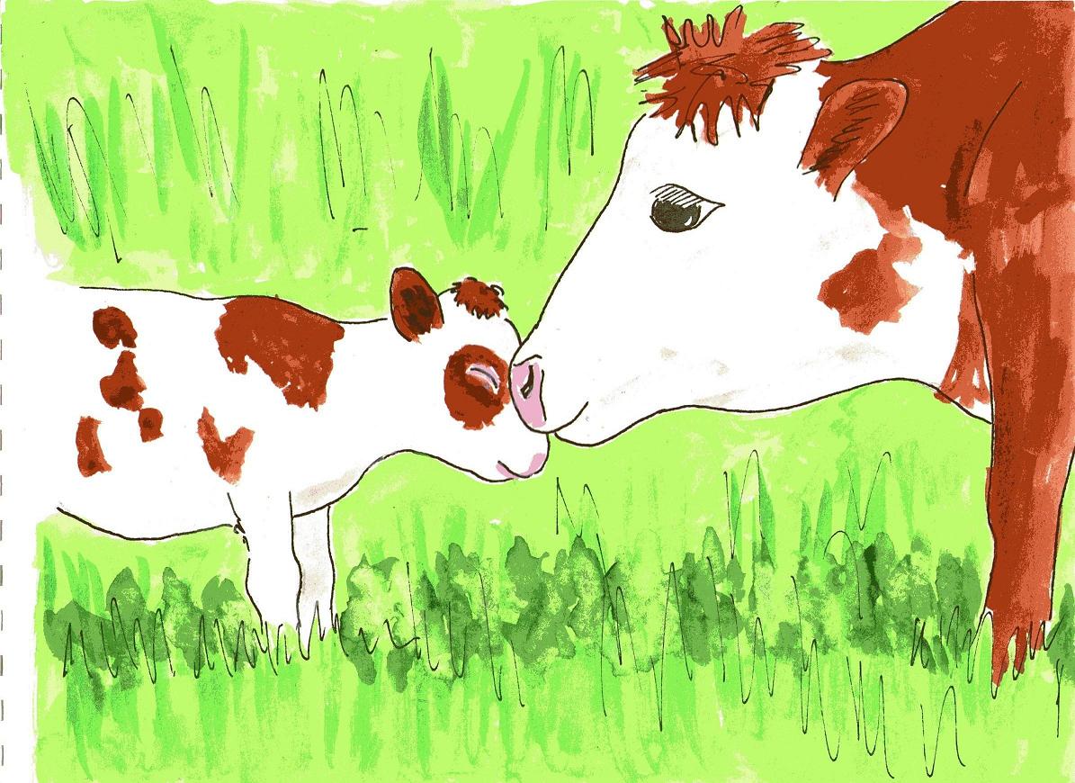 rhyming children's story