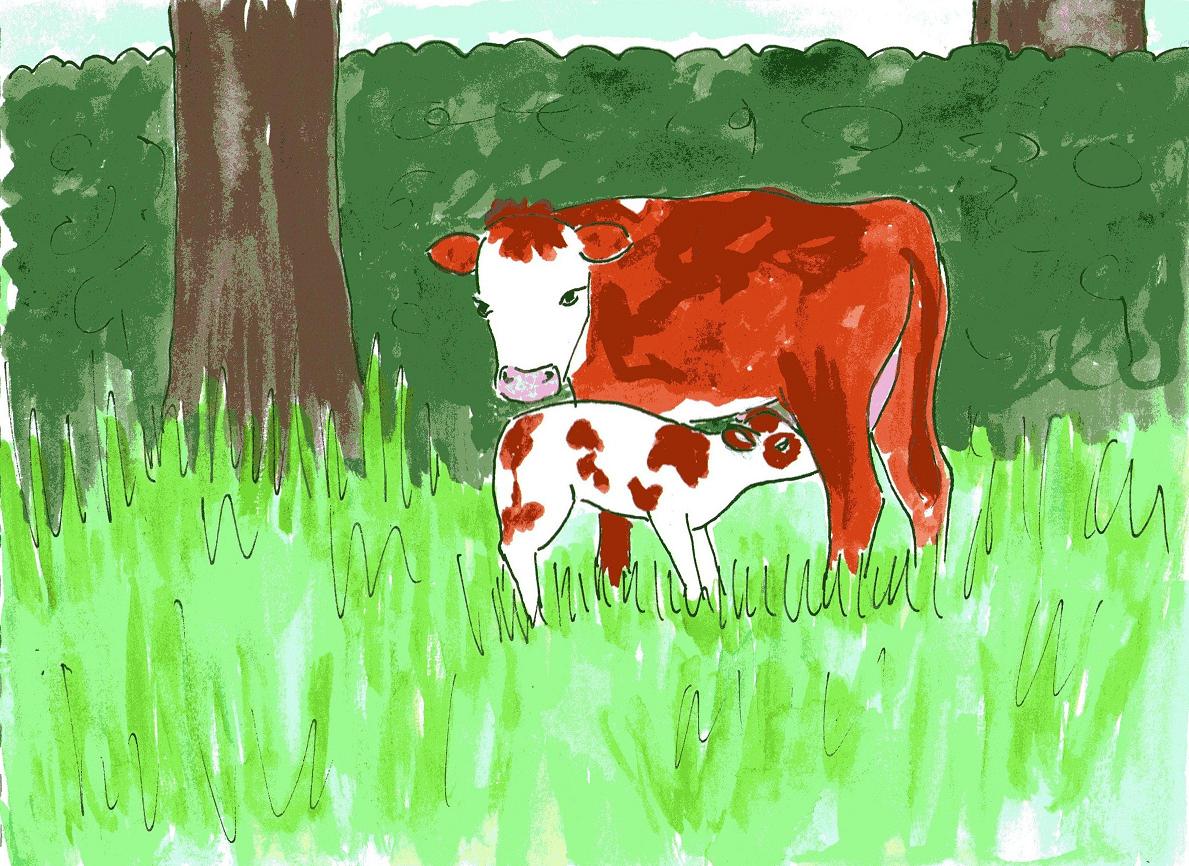 rhyming children's story