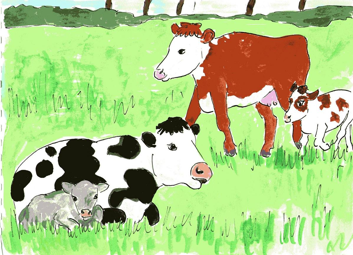 rhyming children's story