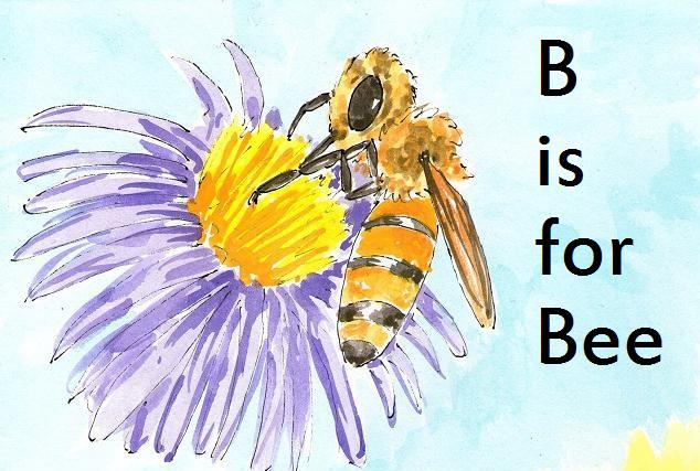 b is for bee