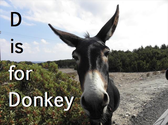 D is for donkey