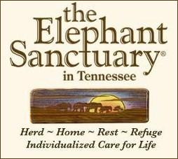 elephant sanctuary