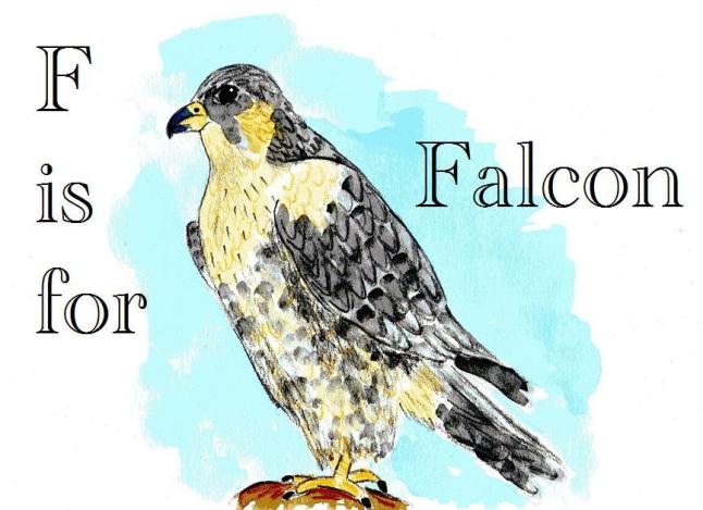 F is for falcon