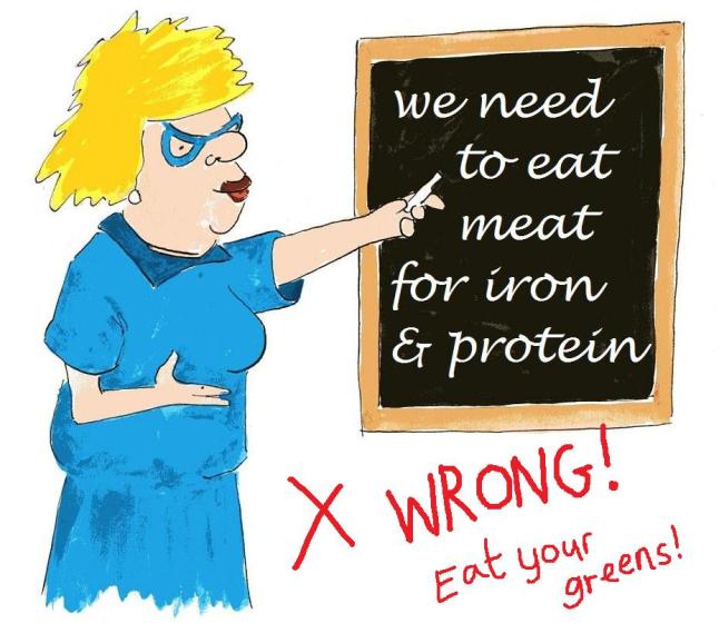 we need to eat meat for protein