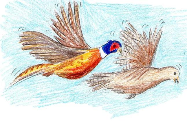 vegan comic for children