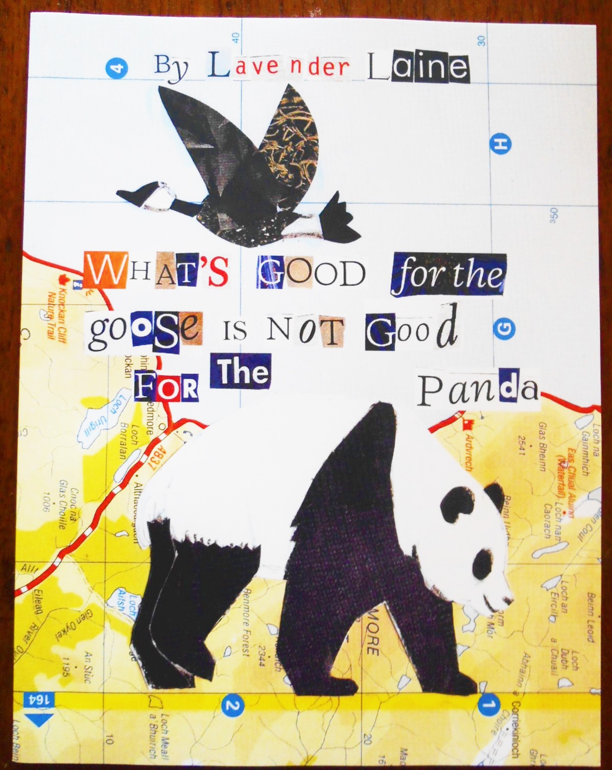 front (2) wgftgingftp