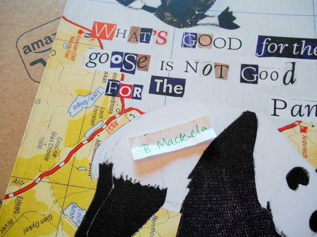 children's book winner