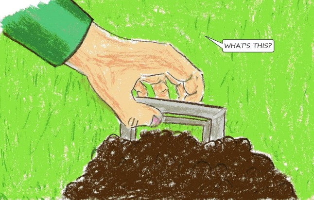 vegan children's comic