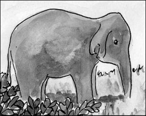 Emma in newspaper for web page