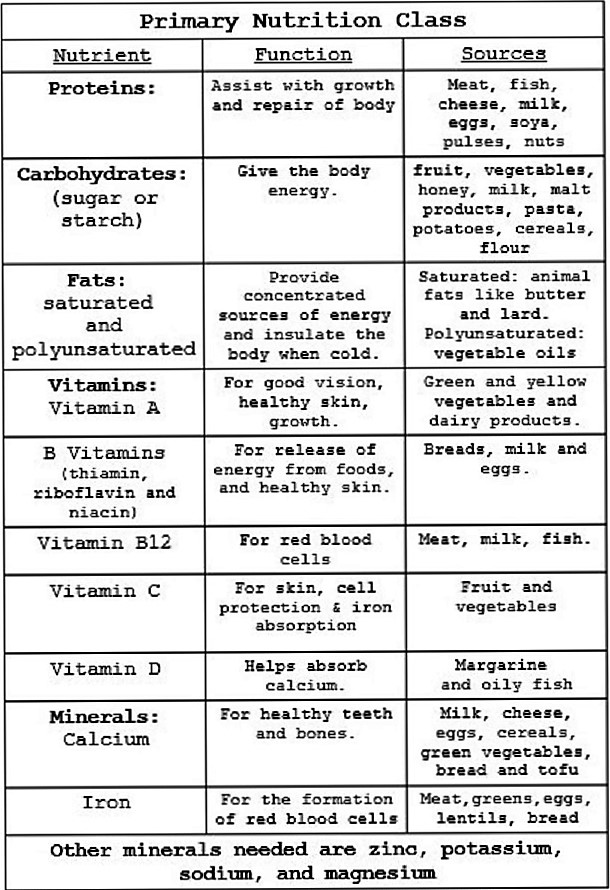 primary nutrition class chart jpeg 150 per cent