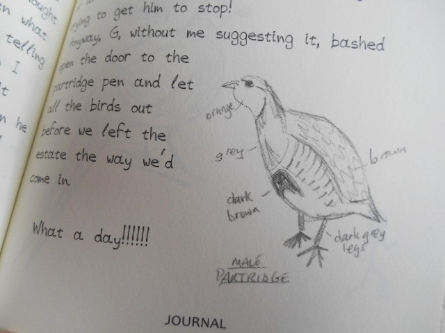 vegan children's notebook