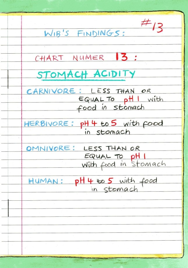 vegan children's book